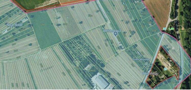 Dettenhausen_entfernt