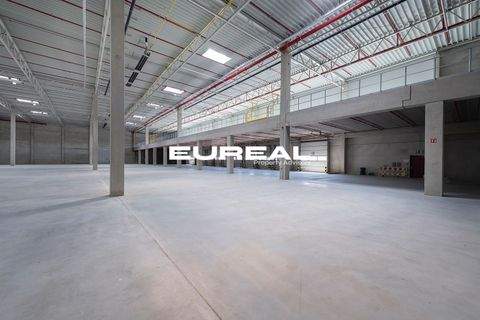 Gelsenkirchen Halle, Gelsenkirchen Hallenfläche