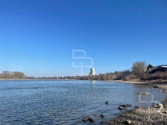 Den Rhein vor der Tür!