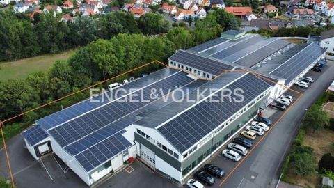 Spangenberg Halle, Spangenberg Hallenfläche