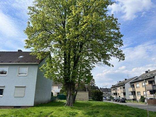 Grundstücksansicht Lechtappenweg