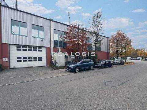 Dachau Halle, Dachau Hallenfläche