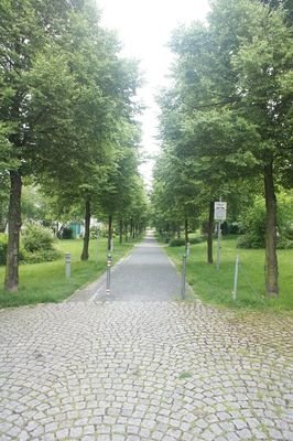 Allee im Wohnpark