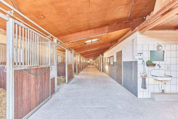 08 Stallgasse mit 13 Boxen.jpg