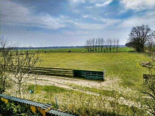 Blick auf Pferdekoppeln