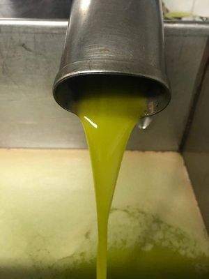 Eigene Olivenölherstellung