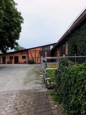 Innenhof mit Blick auf die Stallung und Scheune