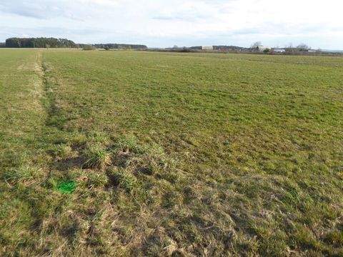 Neuendettelsau Bauernhöfe, Landwirtschaft, Neuendettelsau Forstwirtschaft