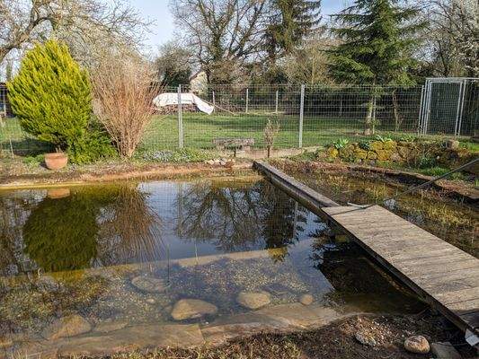 Schwimmteich