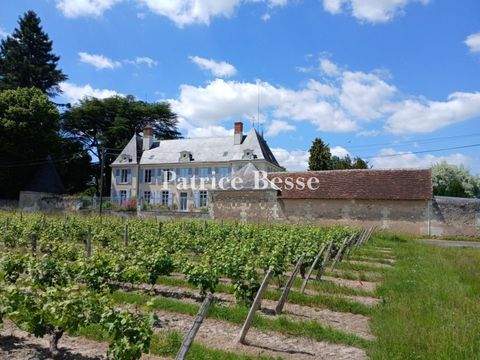 Montrichard Häuser, Montrichard Haus kaufen