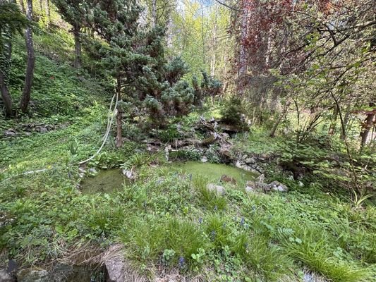 Bild 18