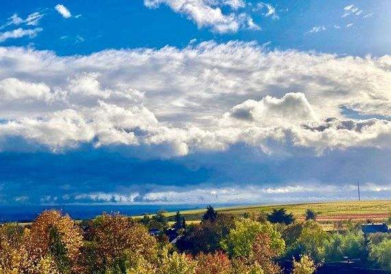 Blick in die Rheinebene bis HD