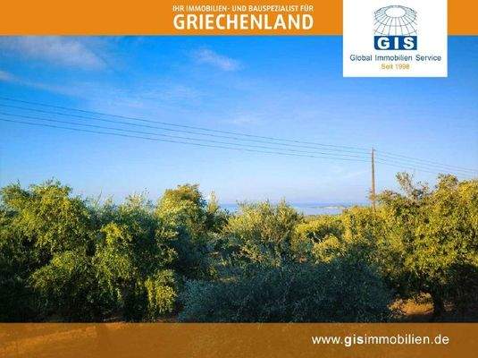 hier könnte Ihr Haus stehen