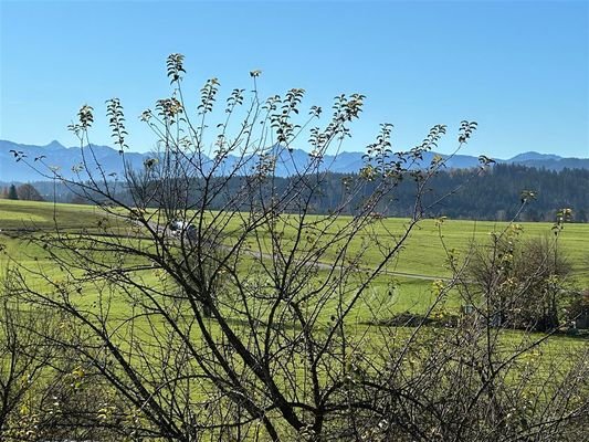 Ausblick aus dem 1. OG
