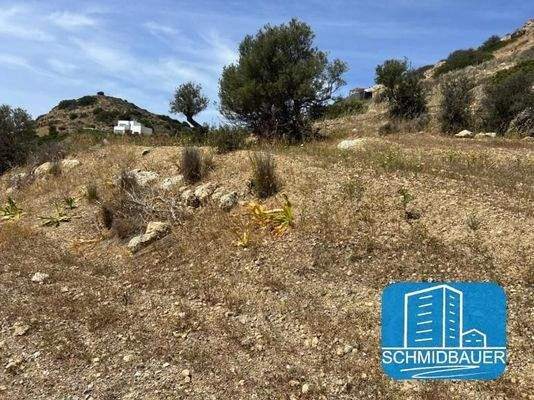 Kreta, Pitsidia: Grundstück am Ortsrand zu verkaufen