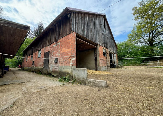 Screenshot 2025-07-19 065806.png