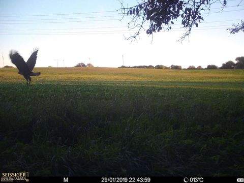 Tessin Bauernhöfe, Landwirtschaft, Tessin Forstwirtschaft