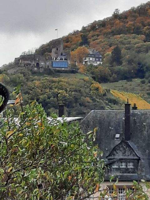 Bernkastel-Kues Wohnungen, Bernkastel-Kues Wohnung kaufen