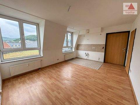Aue-Bad Schlema Wohnungen, Aue-Bad Schlema Wohnung mieten