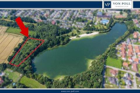 Berumbur Bauernhöfe, Landwirtschaft, Berumbur Forstwirtschaft