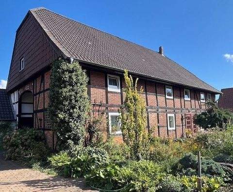 Peine Häuser, Peine Haus kaufen