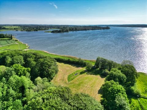 Ulsnis Bauernhöfe, Landwirtschaft, Ulsnis Forstwirtschaft