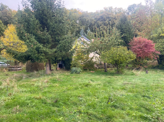 Bildschirmfoto 2026-03-04 um 13.25.04.png