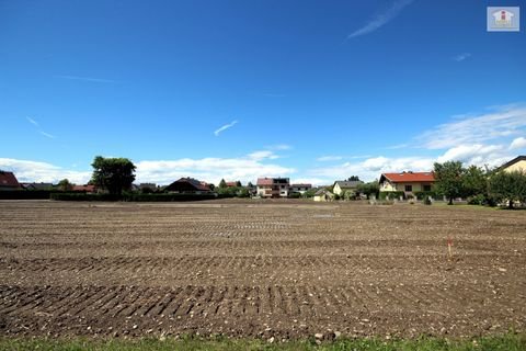 Ebenthal in Kärnten Grundstücke, Ebenthal in Kärnten Grundstück kaufen