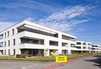 Wiesenstraße, Höchst-Whg A02