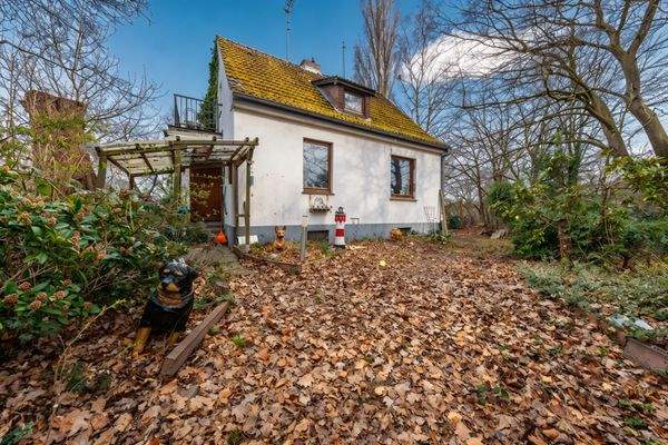 DI - Forbes Global Properties