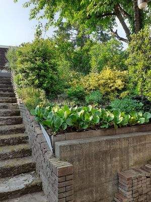 Kellertreppe gartenseitig