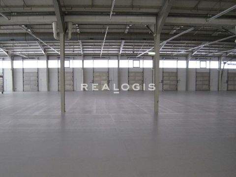 Regensburg Halle, Regensburg Hallenfläche