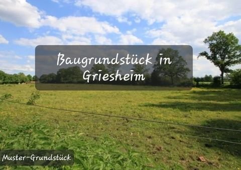 Griesheim Grundstücke, Griesheim Grundstück kaufen