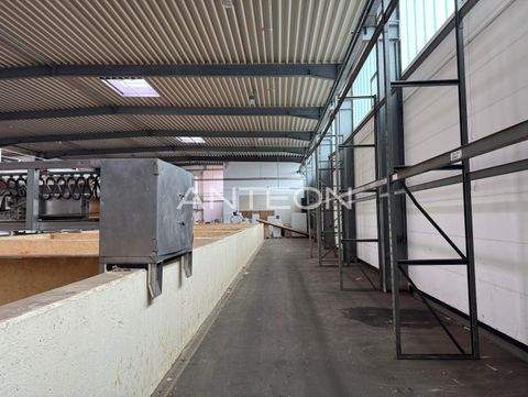 Grevenbroich Halle, Grevenbroich Hallenfläche