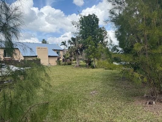 Florida 4.jpg