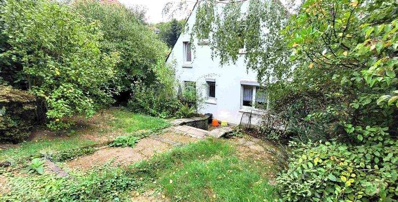 Dichtes Grün im Garten