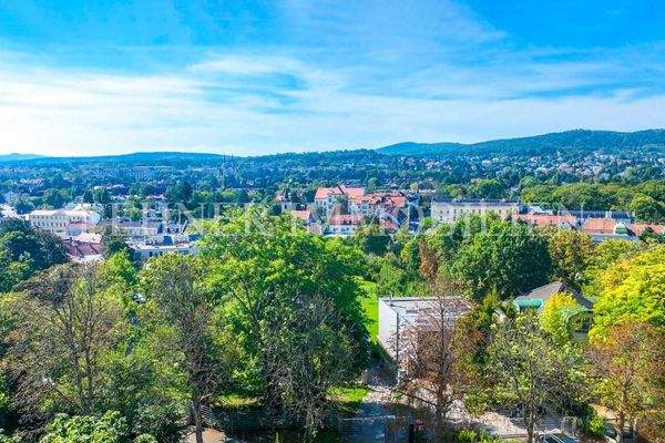 Lehner Immobilien  12