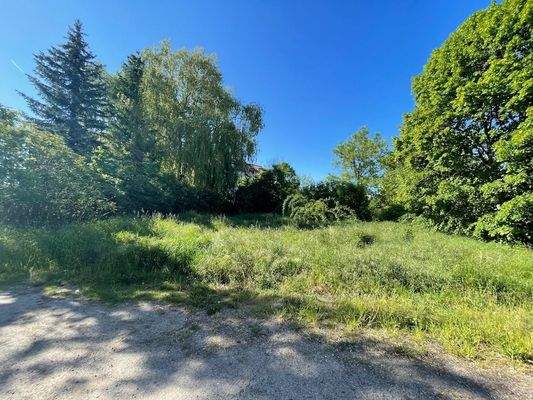 004020156800_302_301_25092023113250328