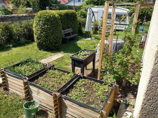 Pachtgarten mit Gästewohnwagen