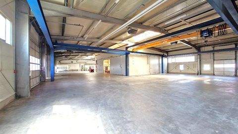 Raubling Halle, Raubling Hallenfläche