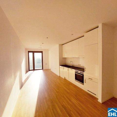 Wien Wohnungen, Wien Wohnung mieten