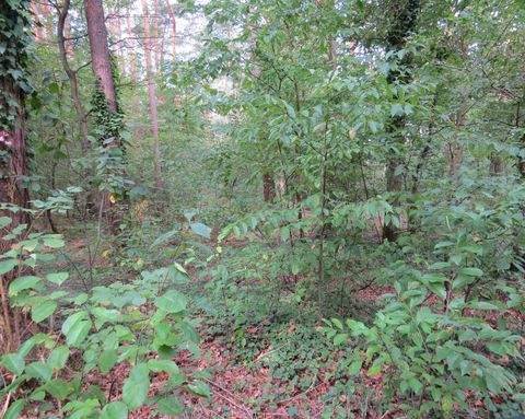 Dannenberg Grundstücke, Dannenberg Grundstück kaufen