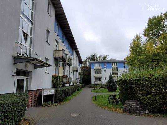 20251007_120314_resized