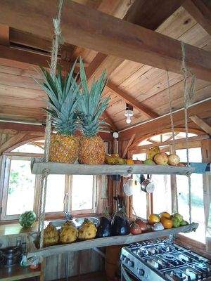 Obst und Gemüse in Fülle