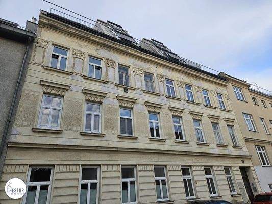 Wohnung - NESTOR Immobilien
