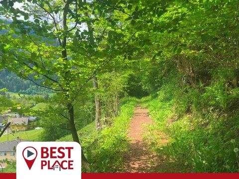 Afritz Bauernhöfe, Landwirtschaft, Afritz Forstwirtschaft