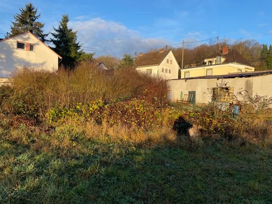 Teil des Grundstücks und Halle von hinten