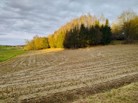 Pfeffenhausen Bauernhöfe, Landwirtschaft, Pfeffenhausen Forstwirtschaft