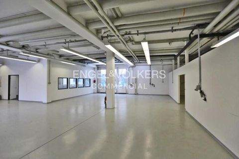 Berlin Halle, Berlin Hallenfläche