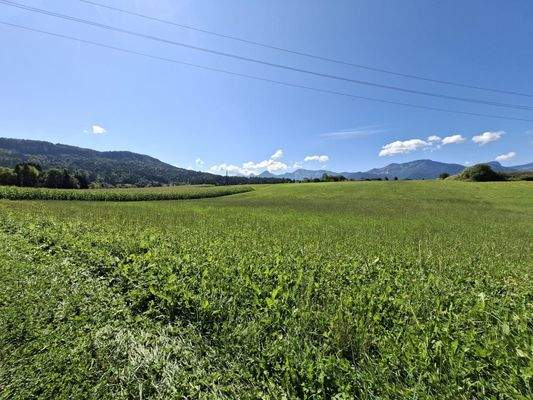 Ihr direkter  Ausblick